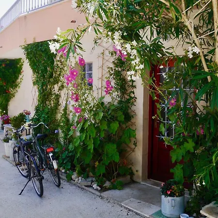 Absolute Waterfront Apartmán Podgora (Split-Dalmatia)